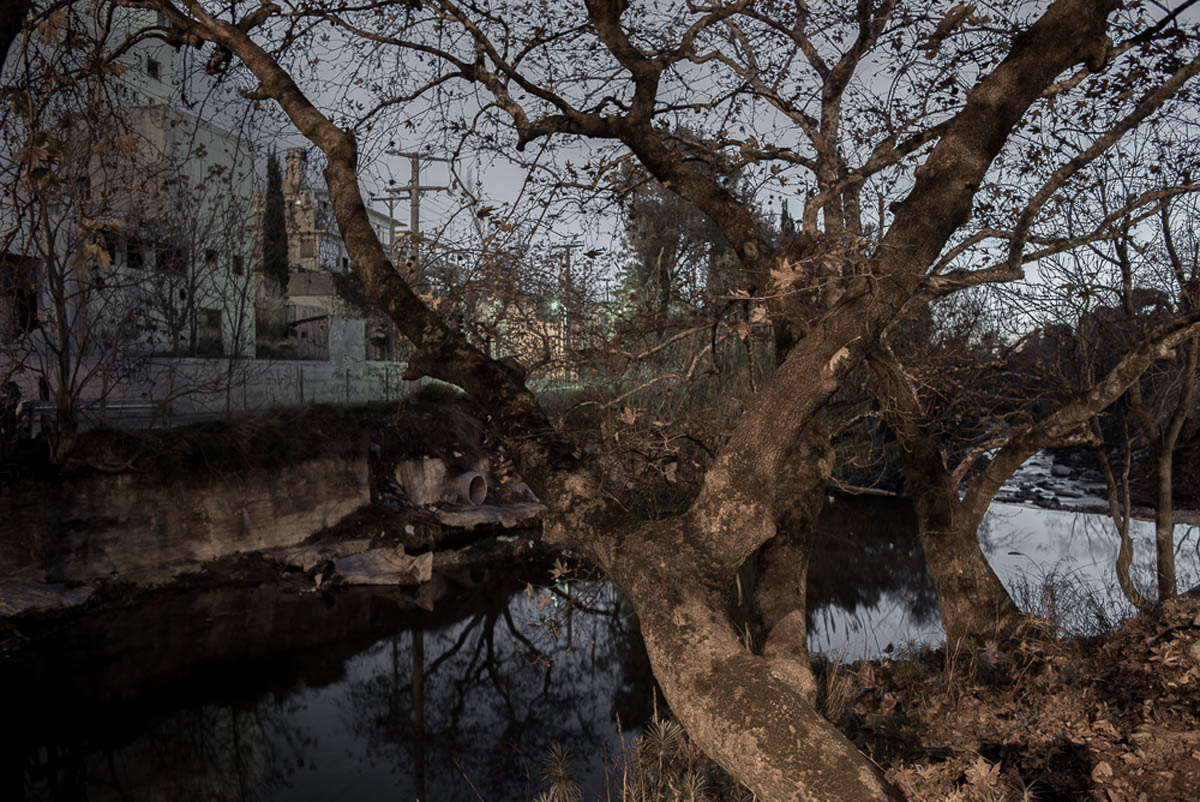 Ρέα Παπαδοπούλου, από τη σειρά Dark Tree, 2015- εν εξελίξει